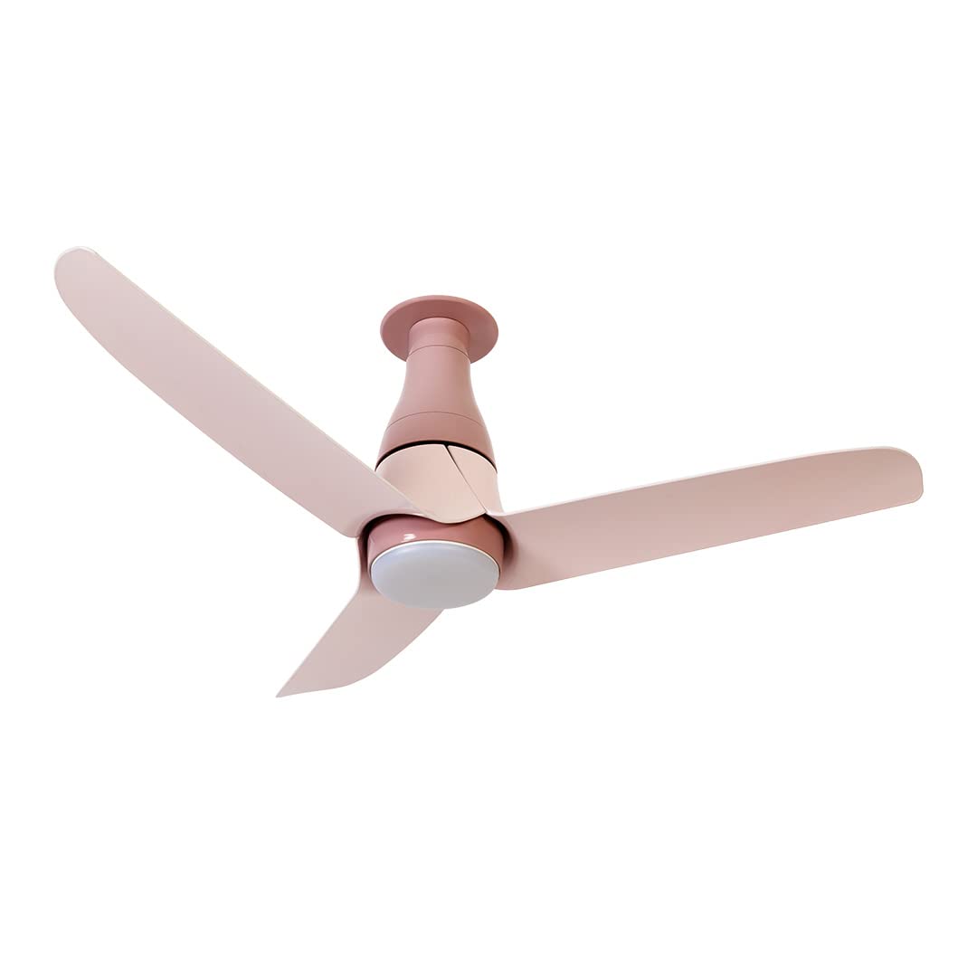 Crompton Blossom Ceiling Fan 1200 mm English Rose