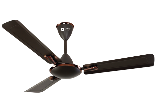 Orient Gratia Designer fans Matellic Bronze- Copper 1050 mm