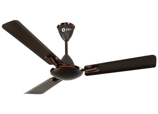 Orient Gratia Designer fans Matellic Bronze- Copper 1050 mm