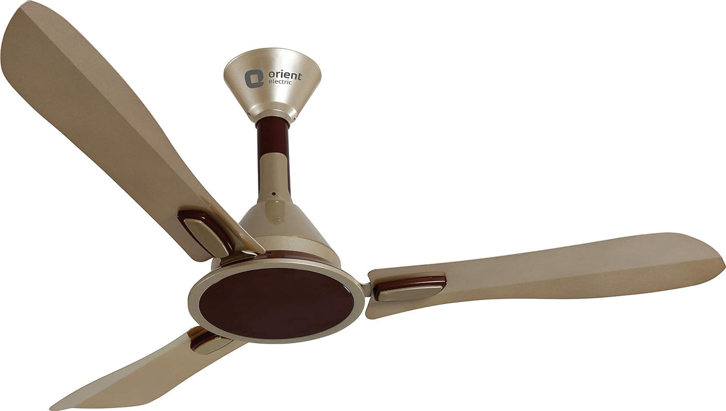 Orient Areta Designer fans Golden Beige & Coffee 1200 mm