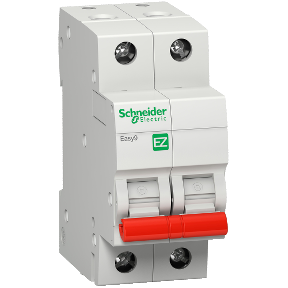 Schneider Electric Easy9 Isolator 40A 2 Pole