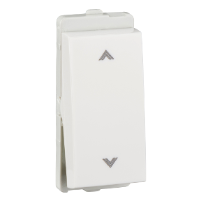 Schneider Livia 10A 2W SWITCH